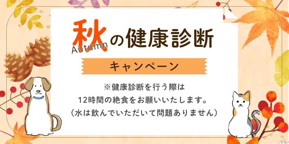 秋の健康診断キャンペーン ※健康診断を行う際は12時間の絶食をお願いいたします。（水は飲んでいただいて問題ありません）